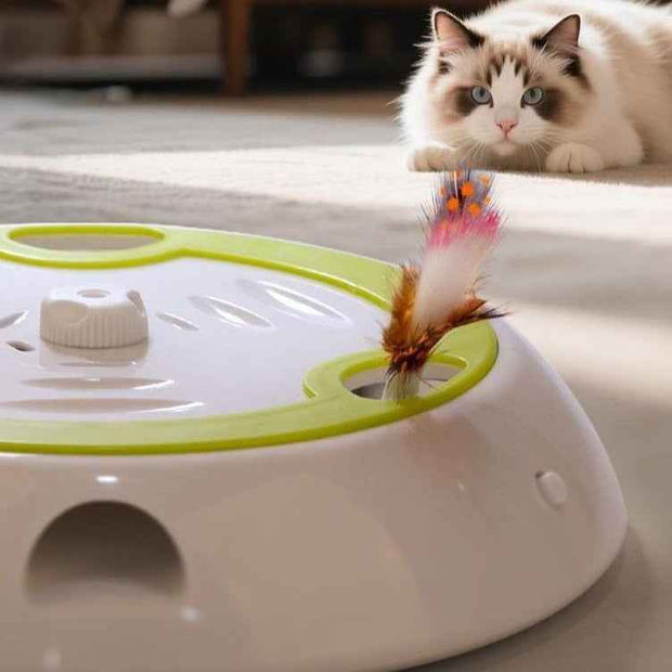 Kindopet Interactive Cat Toy with 6-Hole Random Teasing for Engaged Play – lifestyle photo