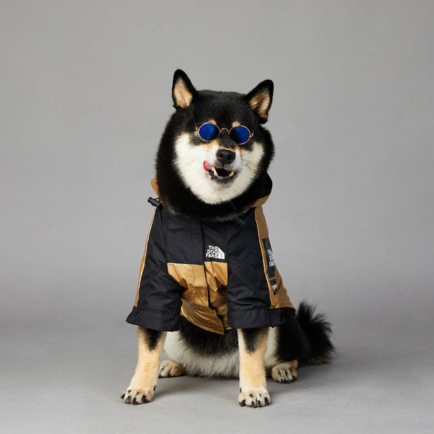 Waterproof Dog Raincoat with Hood – Reflective Adjustable Jacket for All Sizes – in use