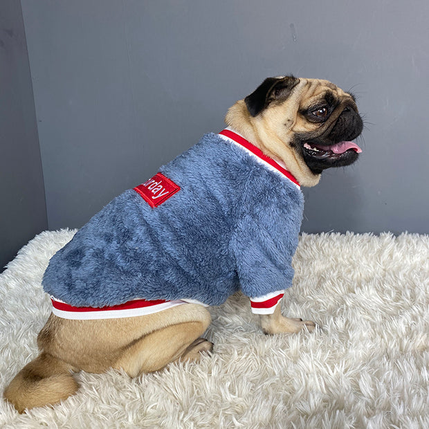 Knitted Pet Sweater - Warm Cable Knit for Small Dogs & Cats – lifestyle photo