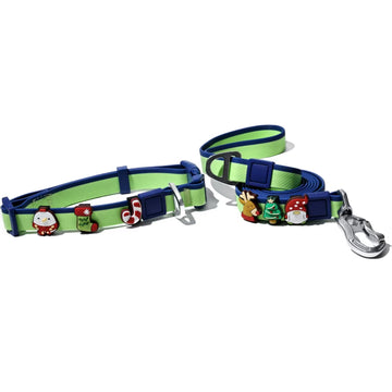 Dual-Color Embossed Dog Leash & Collar Set – Fashion Walking Set – pet wearing