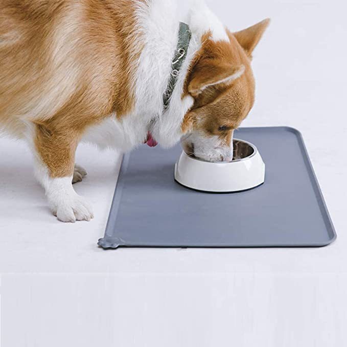 Stainless Steel Pet Feeder With Non-Slip Stand