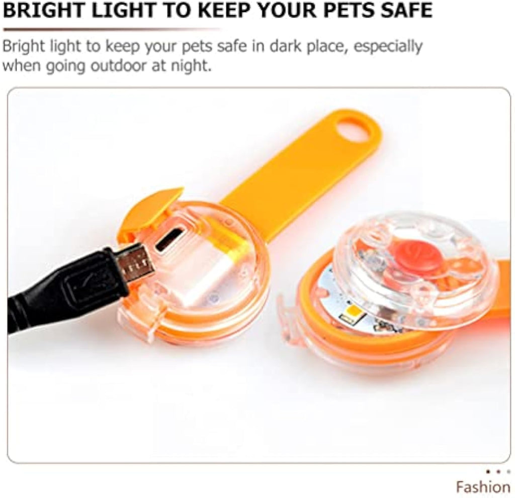 LED Glow Pendant, for dogs.