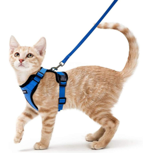 Breathable Mesh Chest Harness with Reflective Trim, for cats.