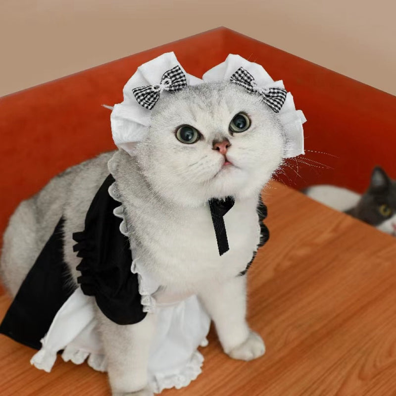 Princess Dress Costume Set for Adult Cats, Size M, for cats.