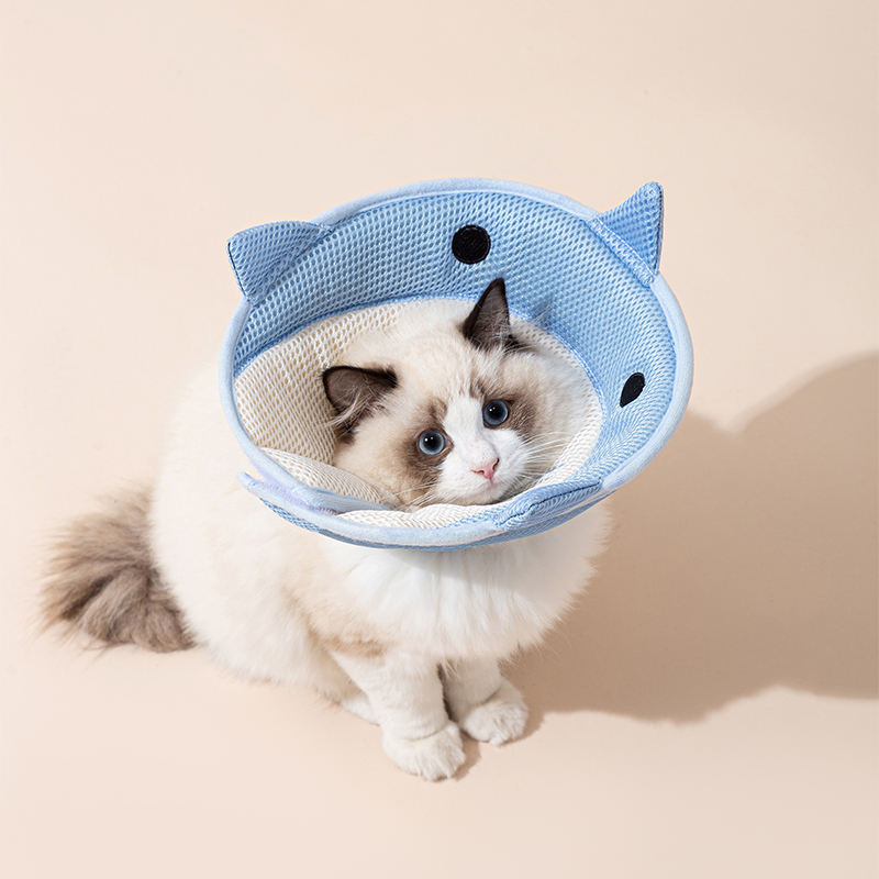 Soft Shark-Shape Recovery Collar, for cats and dogs.