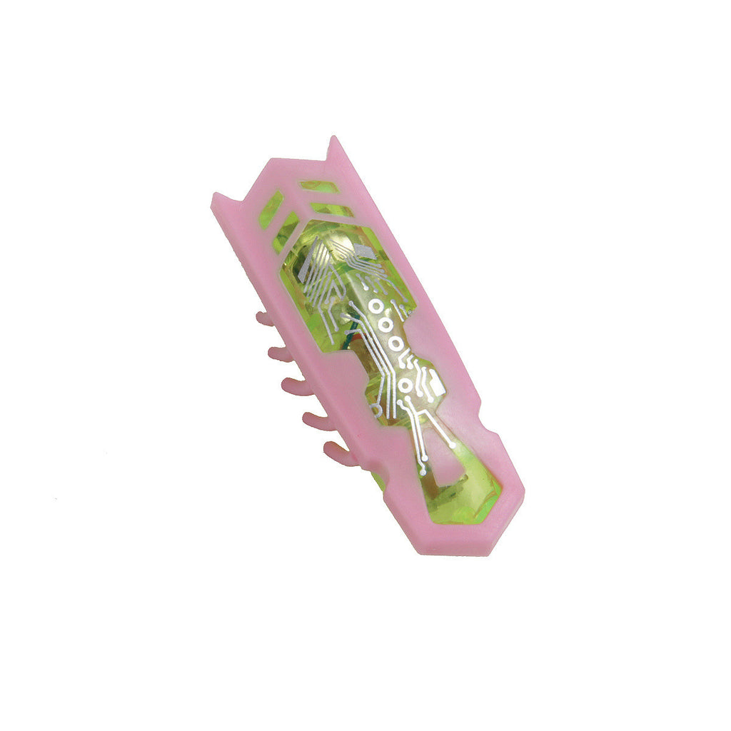 Electronic Bug Toy, for dogs and cats.