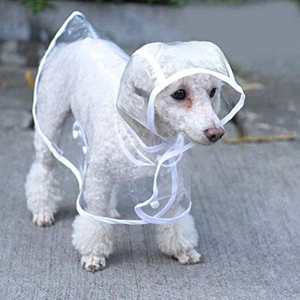 Clear EVA Rain Jacket for Small to Medium Dogs, for dogs.