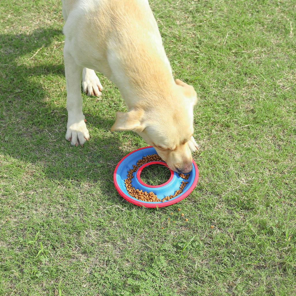 Floating Ring Toy for Water Fetch and Retrieval with Dogs, for dogs.
