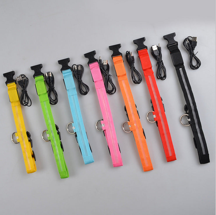 LED Glow-in-the-Dark Collar, for dogs and cats.
