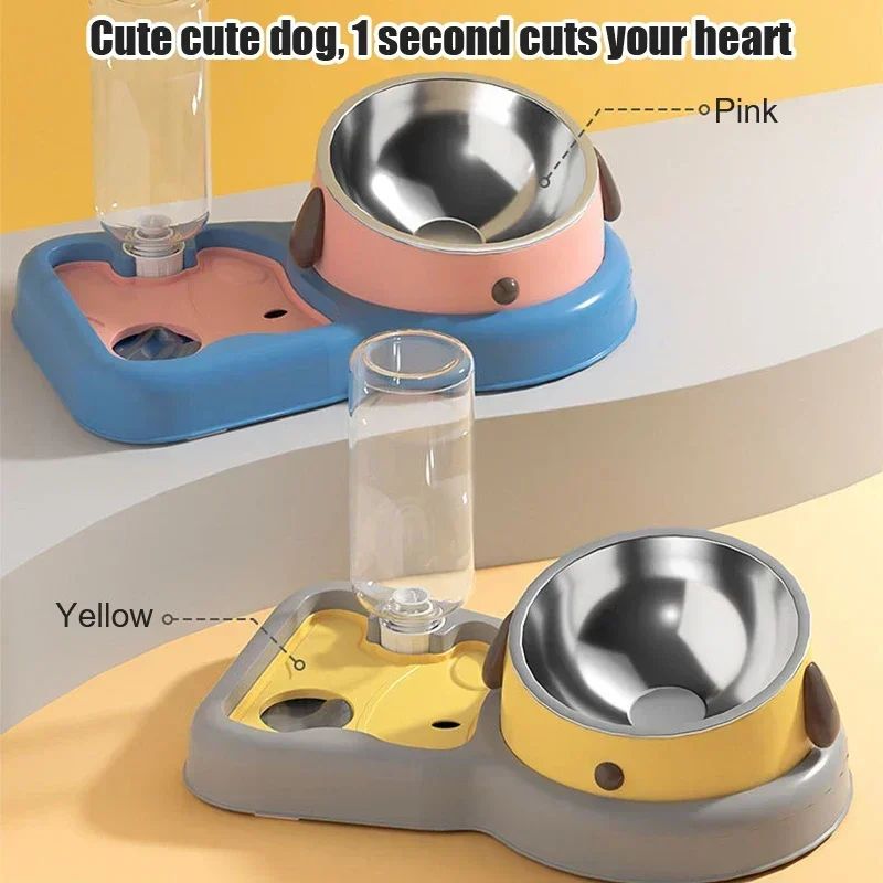 2-in-1 Tilted Feeding Bowl and Water Bottle Set