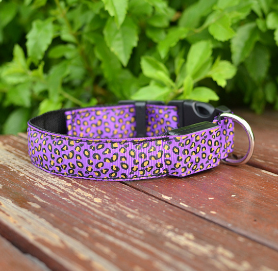 Rechargeable LED Safety Collar, for dogs.