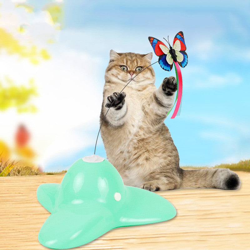 Interactive Puzzle Toy, for cats.