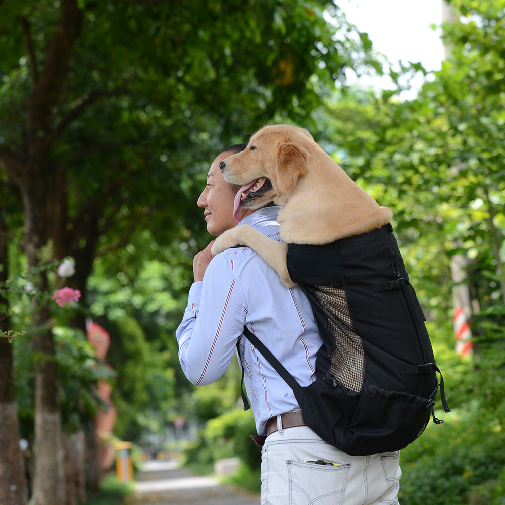 Ventilated Pet Travel Backpack with Safety Buckle