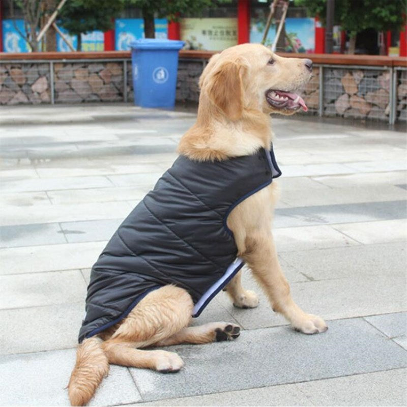 Padded Winter Cotton Coat, for dogs.