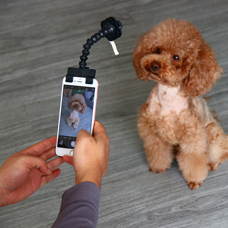 Pet Selfie Stick with Interchangeable Clip Attachments
