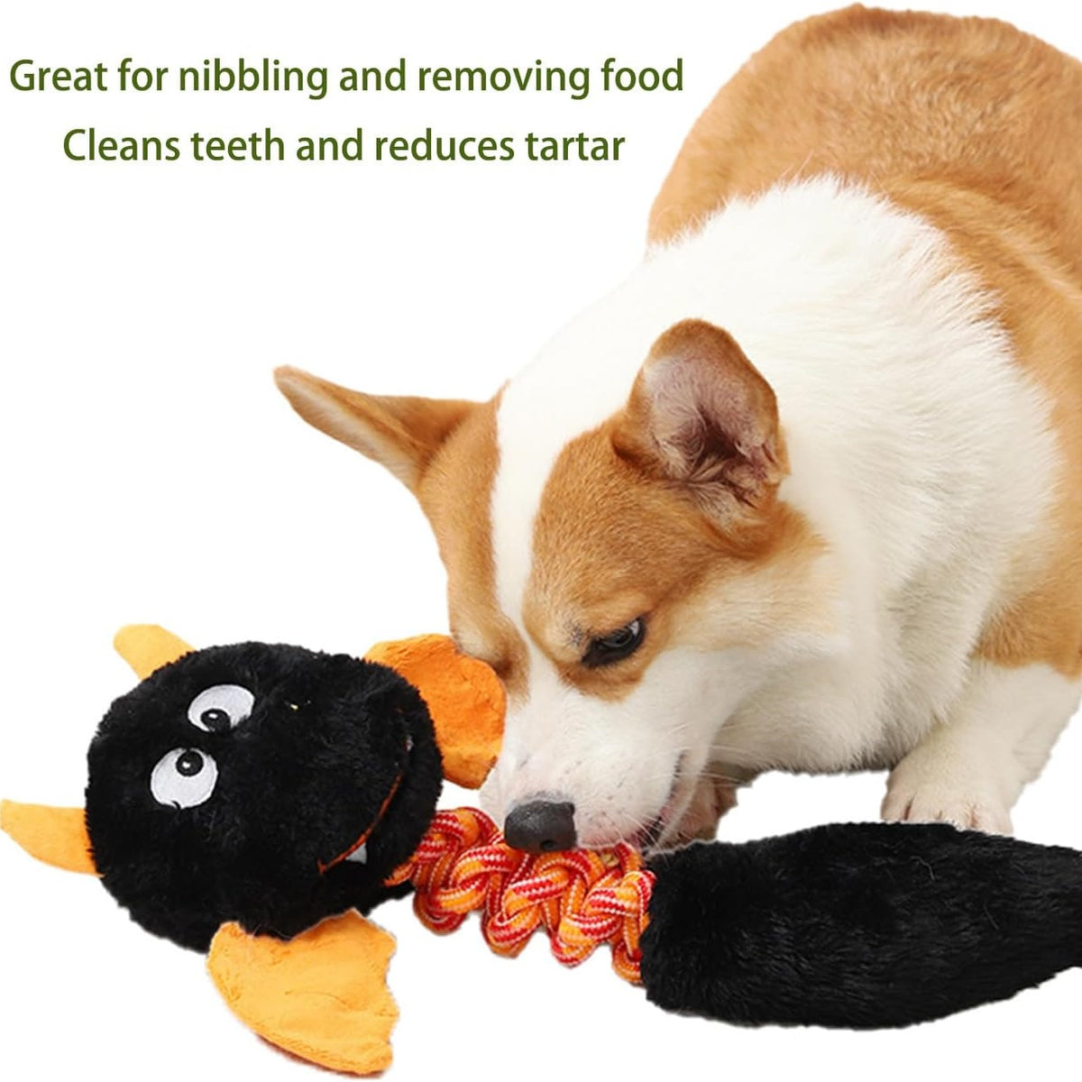Soft Squeaky Plush Chew Toy for Dogs and Cats