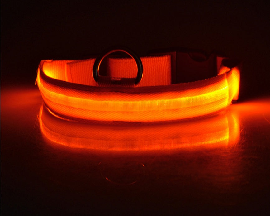 Nylon LED Pet Dog Luminous Collar Night Safety Flashing Glow in Dark Dog Cat Leash Adjustable Pet Supplies - kindoPet