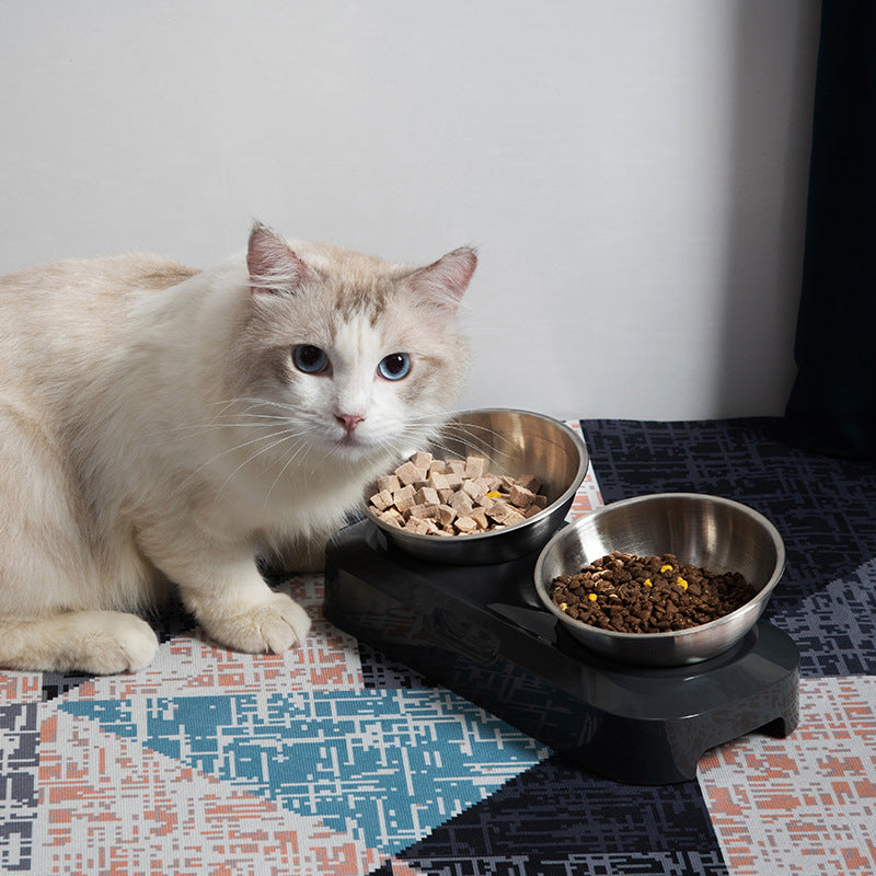 Adjustable Angle Raised Stainless Steel Pet Bowl