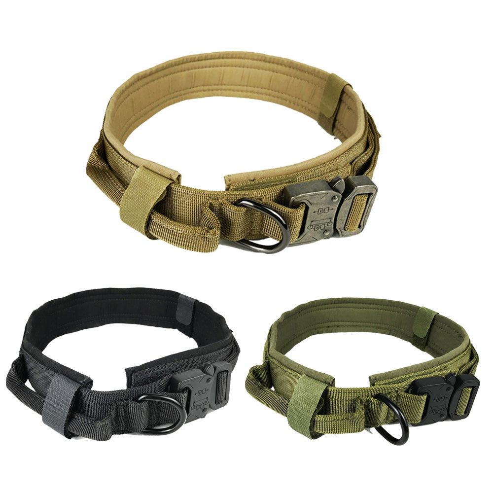 Durable Nylon Dog Collar with Quick-Release Buckle, for dogs.