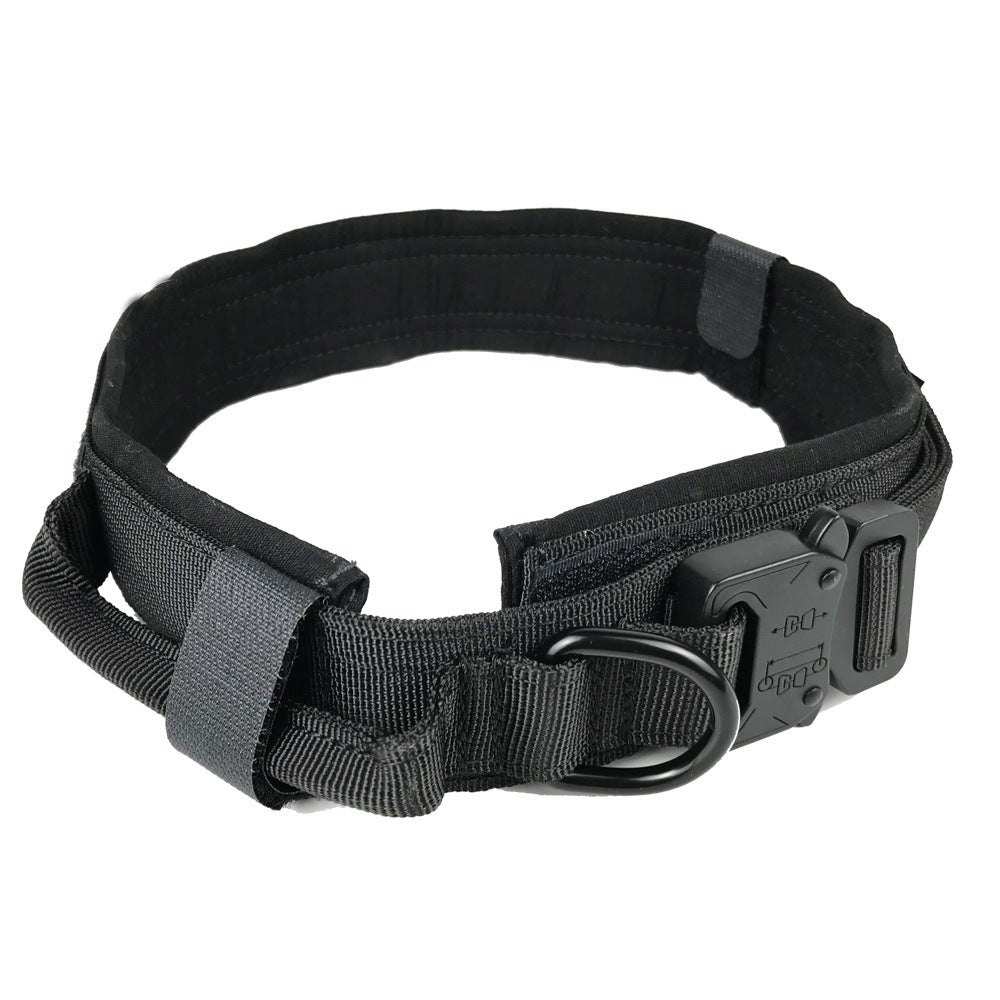 Durable Nylon Dog Collar with Quick-Release Buckle, for dogs.