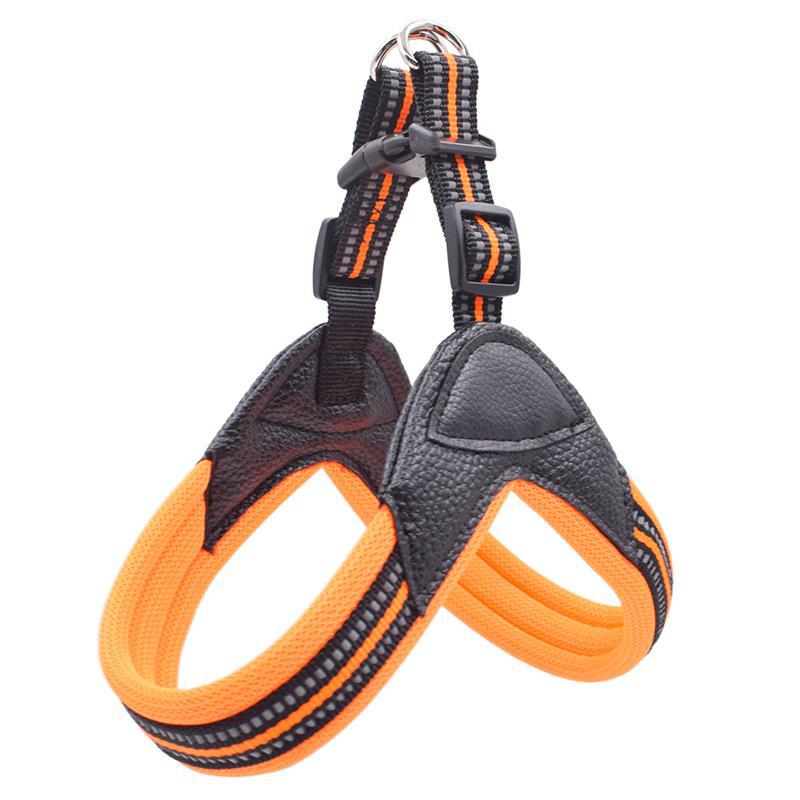 Reflective Mesh Harness and Leash Set, for dogs.
