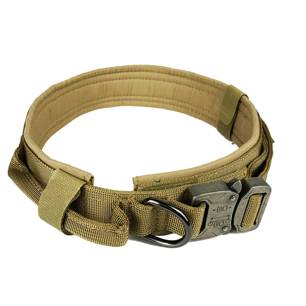 Durable Nylon Dog Collar with Quick-Release Buckle, for dogs.