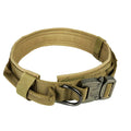 Durable Nylon Dog Collar with Quick-Release Buckle, for dogs.