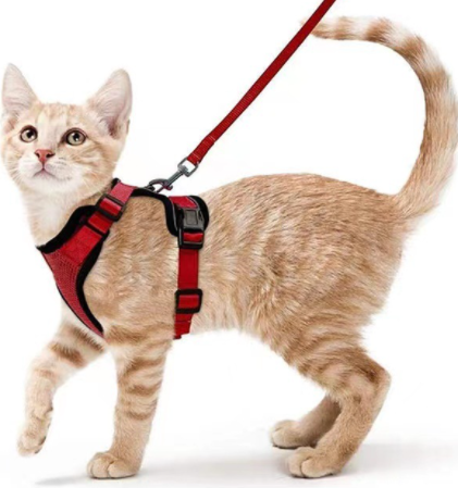 Breathable Mesh Chest Harness with Reflective Trim, for cats.