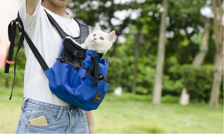 Ventilated Pet Travel Backpack with Safety Buckle