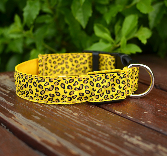 Rechargeable LED Safety Collar, for dogs.