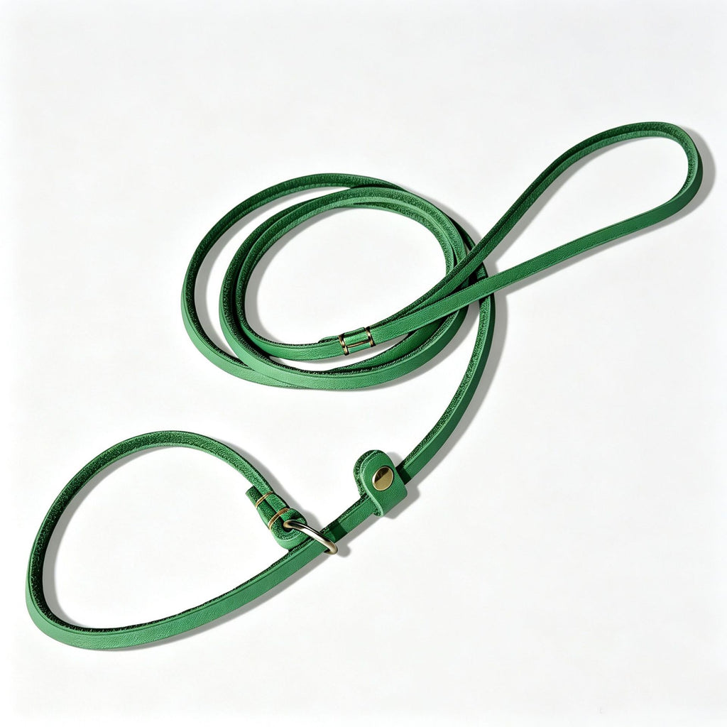 Braided Cowhide Leather Training Leash, for dogs.