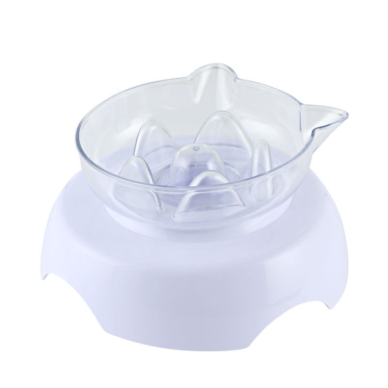 Angled Transparent Cat Bowl for Comfortable Neck Posture, for cats.
