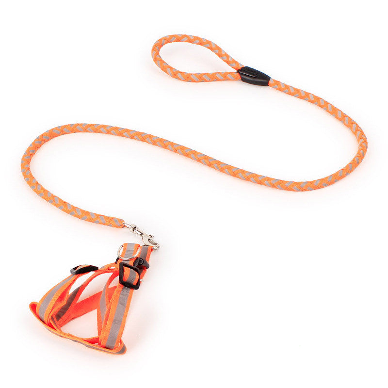 Reflective Braided Dog Leash and Harness, S to L, for dogs.
