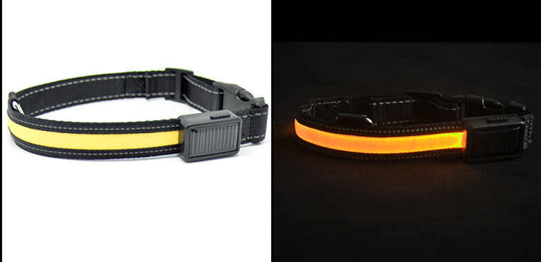 Solar-Charged LED Dog Collar with Reflective Nylon Band, for dogs.