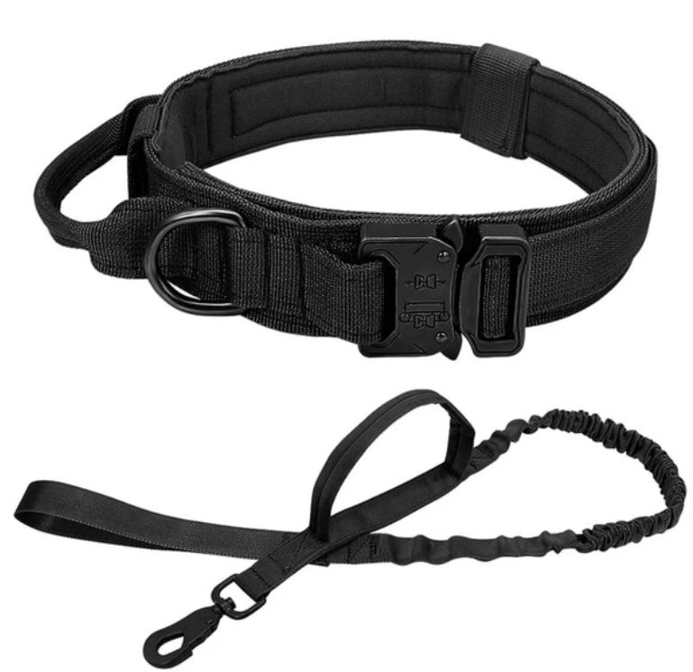 Tactical Nylon Dog Collar for Medium to Large Dogs, for dogs.