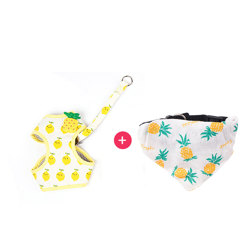 Adjustable Fruit-Print Cat Harness and Leash Set, for cats.