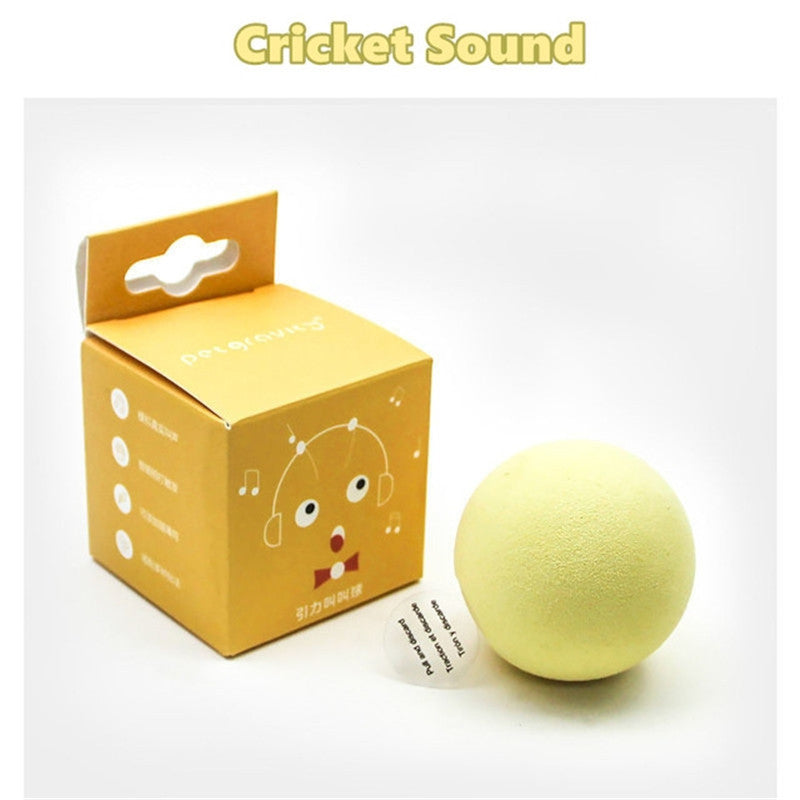 Interactive Sound Ball Cat Toy with Catnip Option