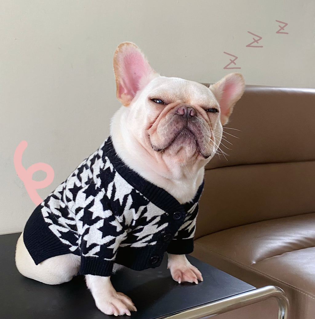 Wool Knit Sweater, for dogs and cats.