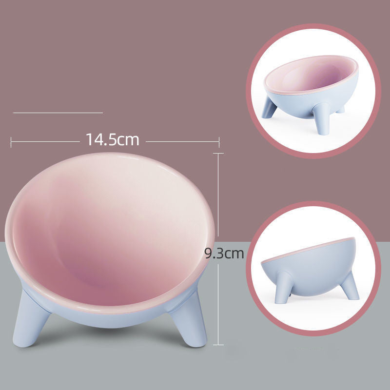 Elevated Tilted Pet Bowl with Stand for Dogs and Cats