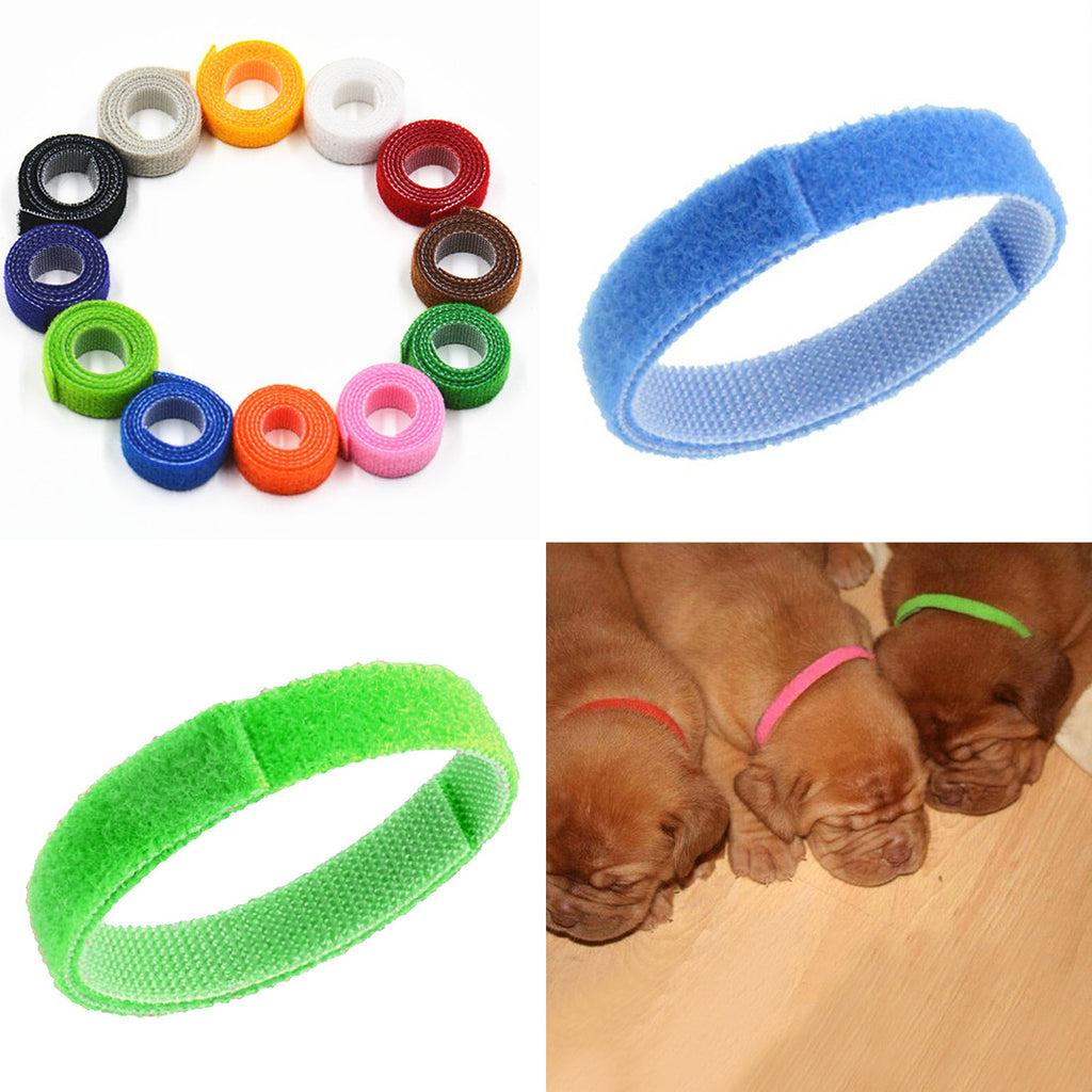 Adjustable Velcro ID Collar, for dogs and cats.