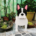 Pug-Shaped Plastic Planter for Home and Garden Decor, for dogs.