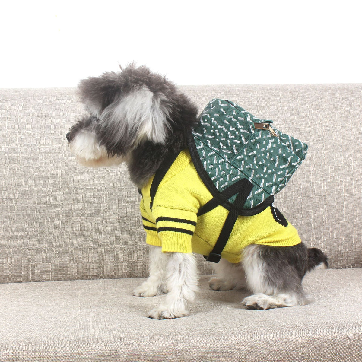 Small Dog Backpack Carrier with Adjustable Straps, for dogs.