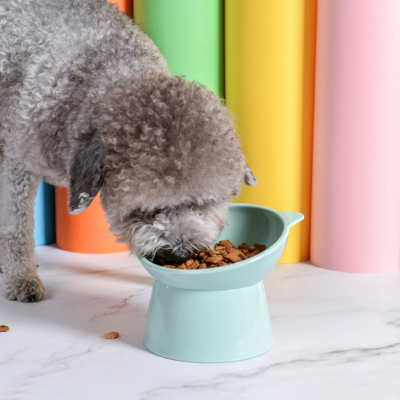 Raised Angled Feeding Bowl, for dogs and cats.