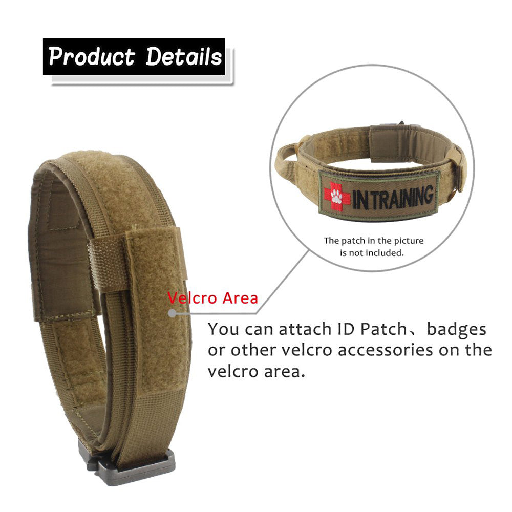 Durable Nylon Dog Collar with Quick-Release Buckle, for dogs.