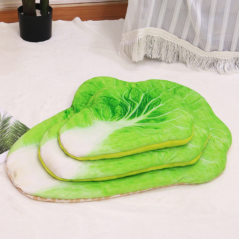 Avocado and Pizza Shaped Pet Bed Mat with Raised Rim, for dogs and cats.