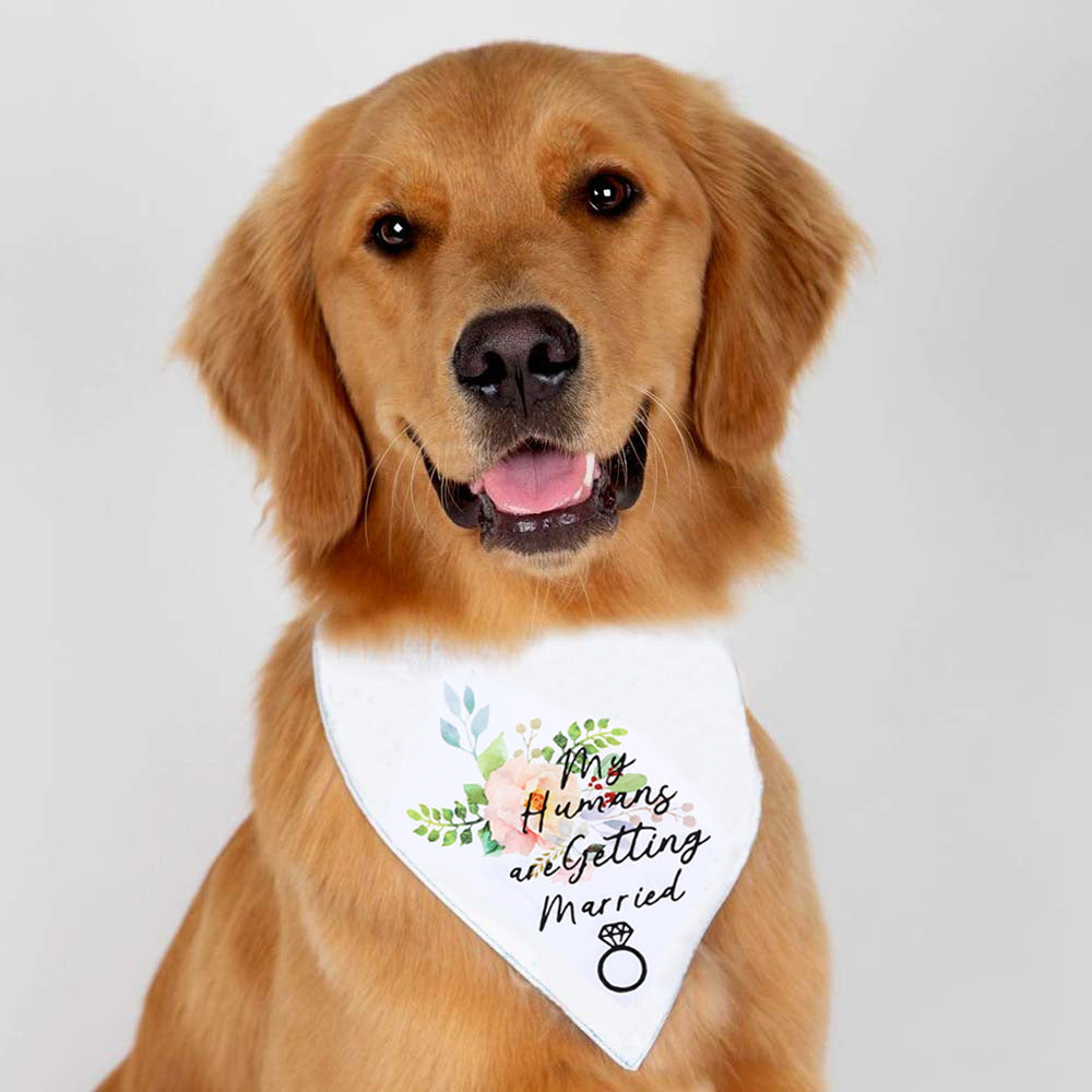 White Valentine's Day Polyester Dog Bandana Scarf, for dogs.