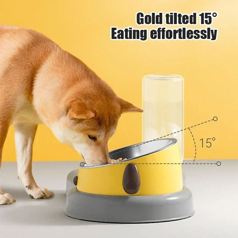 2-in-1 Tilted Feeding Bowl and Water Bottle Set