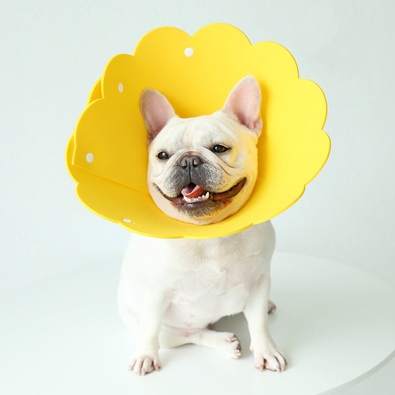 Sunflower-Shape EVA Anti-Licking Collar, for dogs.