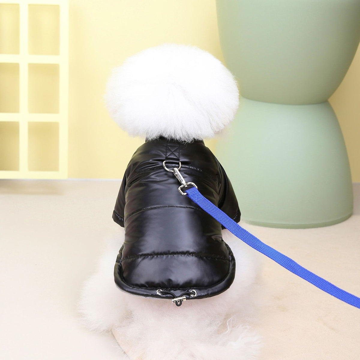 Cotton-Padded Winter Jacket, for dogs.
