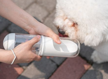 Portable 330ml Pet Water Bottle with Filter Element, for dogs and cats.